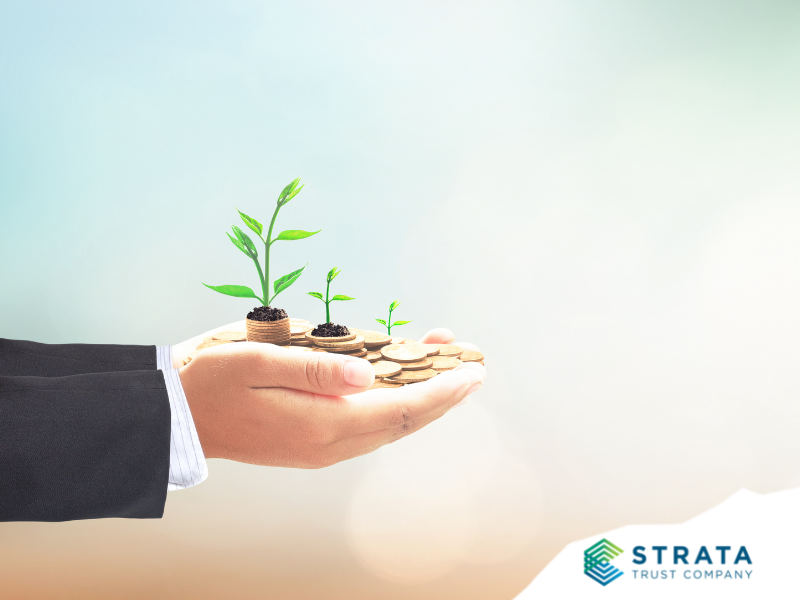 3 SELF-DIRECTED IRA INVESTMENTS INVESTORS LOVE